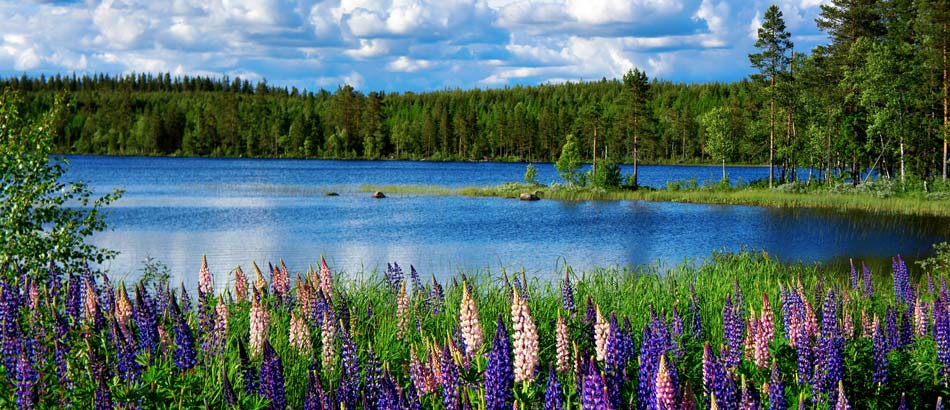 Nationalparks in Schweden