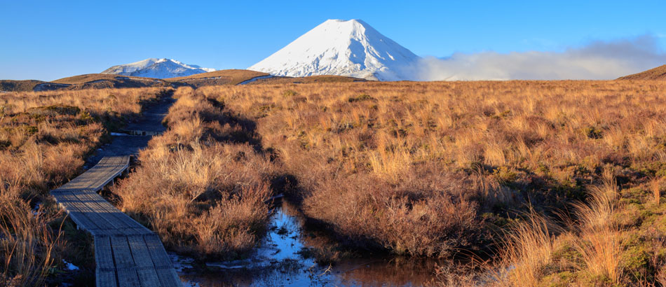 Neuseeland Vulkane
