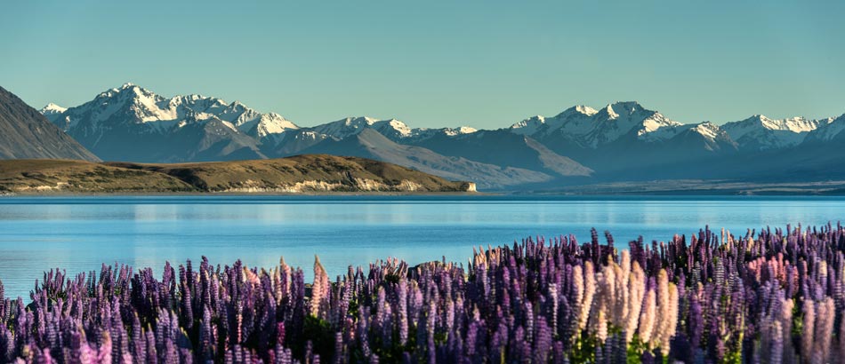 Reisetipps für Neuseeland