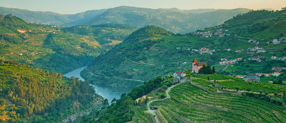 Weinreise Portugal