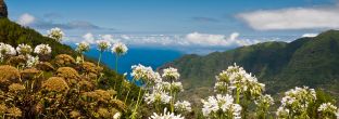 Madeira Reisevorbereitung