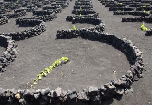 Jameos del Agua Kanaren