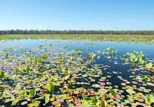 Kakadu Nationalpark Darwin Flughafen