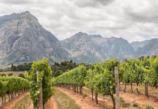 Stellenbosch Südafrika