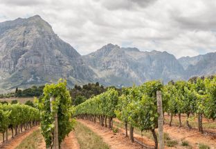 Stellenbosch Südafrika