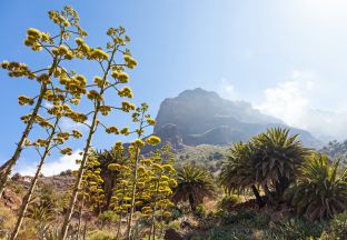 Teneriffa Süd Flughafen