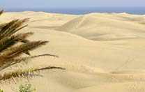 Gran Canaria Wüste