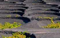 La Geria auf Lanzarote