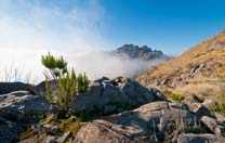 Pico Ruivo auf Madeira