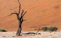 Sossusvlei Namibia